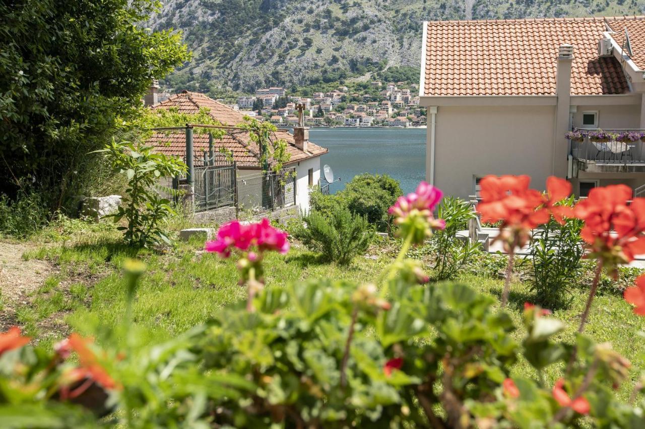 Muo Sea Front Apartments Kotor Exterior foto
